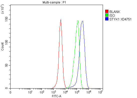 Flow Cytometry analysis of HeLa cells using anti-STYK1 antibody (A07376-2)