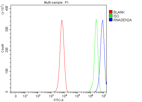 a07386 2 rnaseh2a primary antibodies fcm testing 2