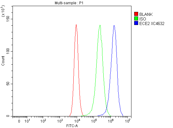 a07406 1 ece2 primary antibodies fcm testing 1