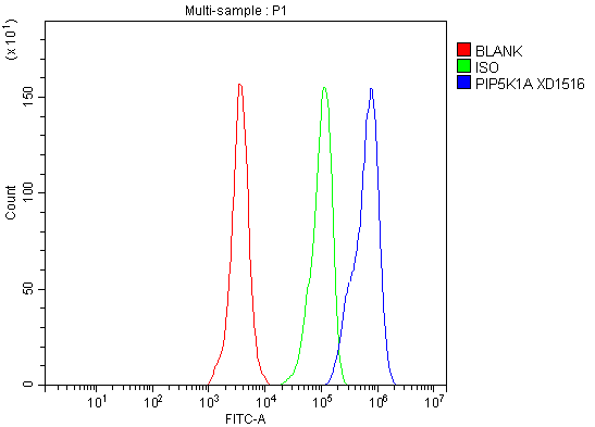 a07416 3 pip5k1a primary antibodies fcm testing 6