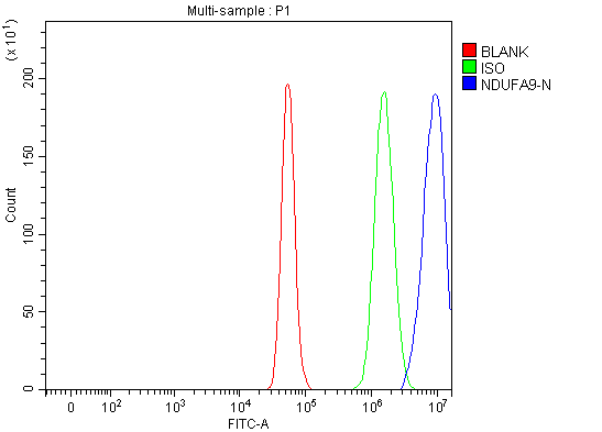 a07420 3 ndufa9 primary antibodies fcm testing 15