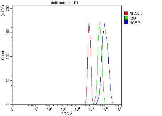 a07424 3 ncbp1 primary antibodies fcm testing 11