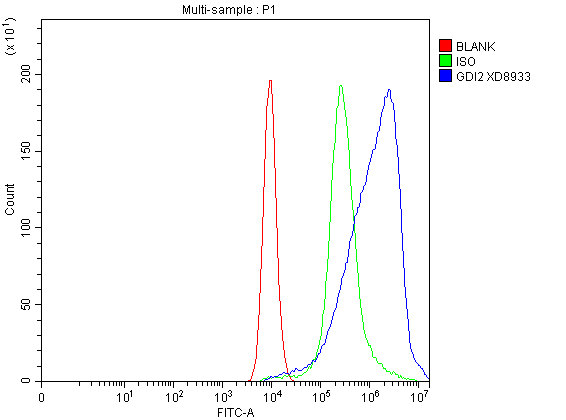 a07443 2 gdi2 primary antibodies fcm testing 1