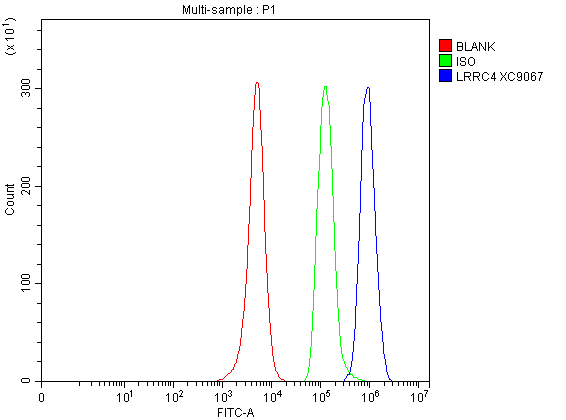 a07447 1 lrrc4 primary antibodies fcm testing 1