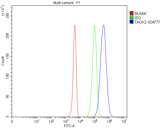 a07466 1 taok2 primary antibodies fcm testing 1