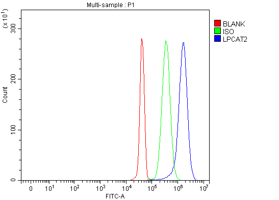 a07471 2 lpcat2 primary antibodies fcm testing 4