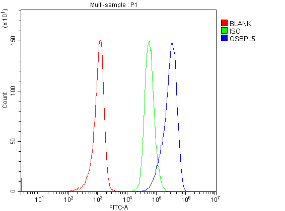  Flow Cytometry analysis of MOLT-4 cells using anti-OSBPL5 antibody (A07477-1)