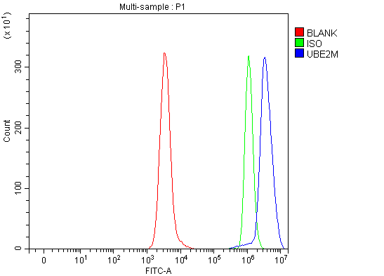 a07478 1 ube2m primary antibodies fcm testing 7