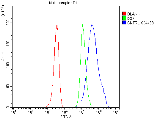  Flow Cytometry analysis of HEL cells using anti-CEP110/CNTRL antibody (A07479-1)