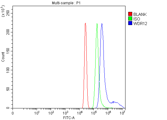 a07492 1 wdr12 primary antibodies fcm testing 2