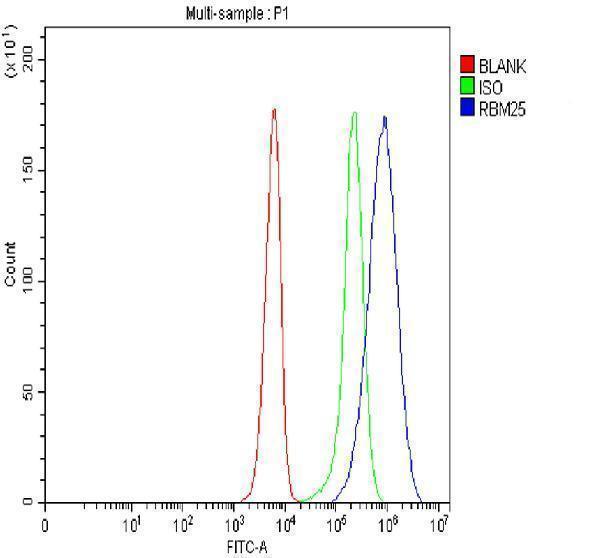a07494 1 rbm25 primary antibodies fcm testing 5_1