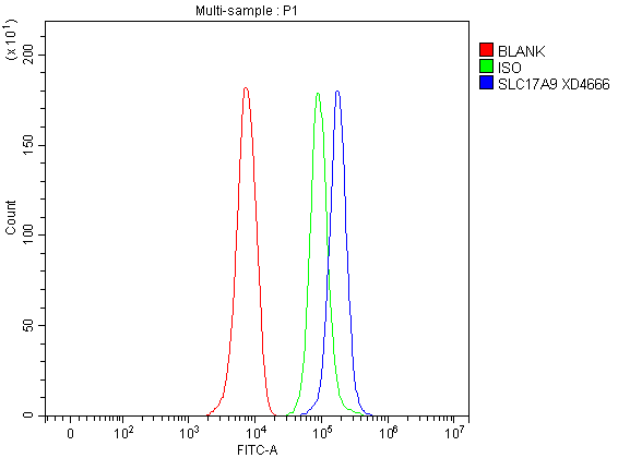 a07501 1 slc17a9 primary antibodies fcm testing 1