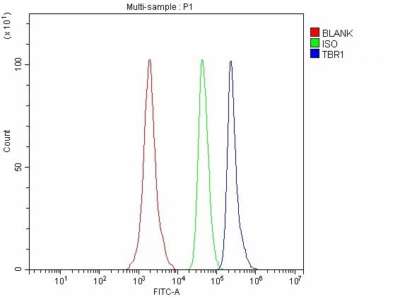  Flow Cytometry analysis of SH-SY5Y cells using anti-TBR1 antibody (A07503-2)