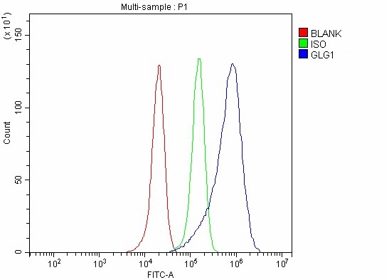 a07510 1 glg1 primary antibodies fcm testing 6
