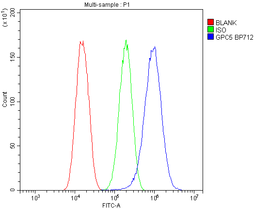  Flow Cytometry analysis of U87 cells using anti-Glypican 5/GPC5 antibody (A07532-1)
