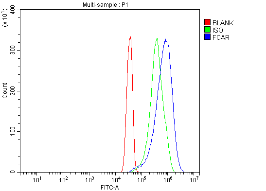  Flow Cytometry analysis of Hela cells using anti-CD89/FCAR antibody (A07546-1)