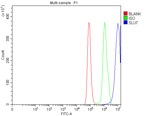 a07557 2 slu7 primary antibodies fcm testing 7