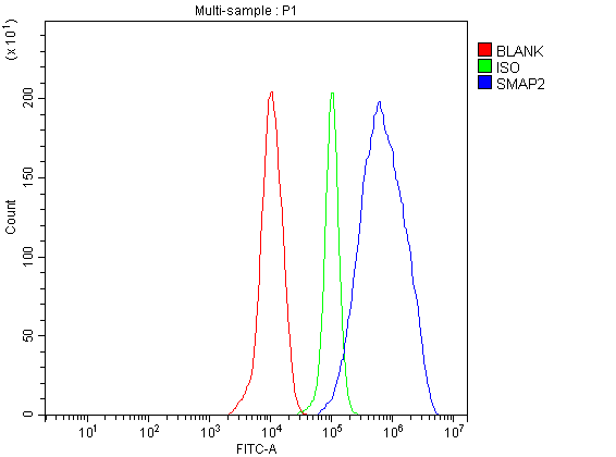a07564 1 smap2 primary antibodies fcm testing 2