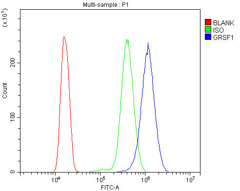 a07576 2 grsf1 primary antibodies fcm testing 2