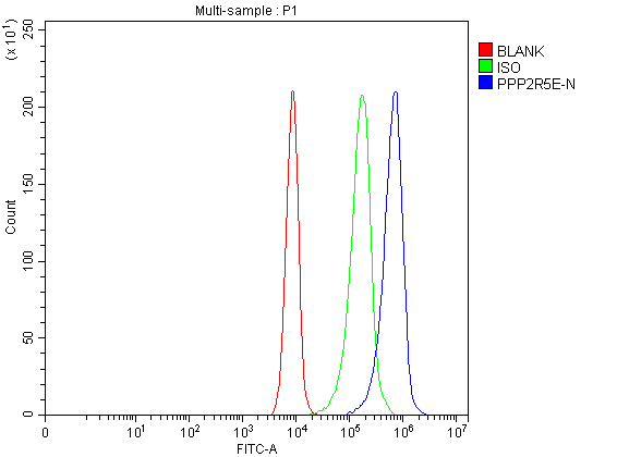 a07588 2 ppp2r5e primary antibodies fcm testing 5