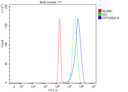 a07588 2 ppp2r5e primary antibodies fcm testing 6