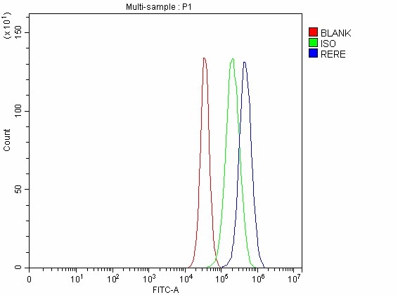 a07605 1 rere primary antibodies fcm testing 5