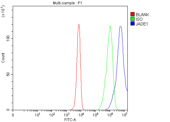  Flow Cytometry analysis of K562 cells using anti-PHF17/JADE1 antibody (A07611-1)