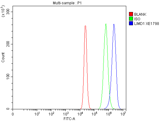 a07629 1 limd1 primary antibodies fcm testing 1