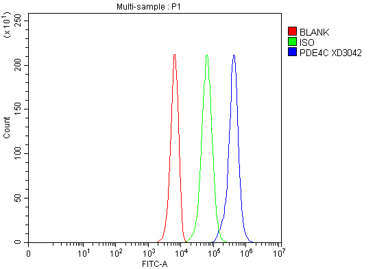 Flow Cytometry analysis of K562 cells using anti-PDE4C antibody (A07630-3)