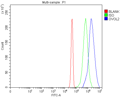  Flow Cytometry analysis of JK cells using anti-OVOL2 antibody (A07631-2)
