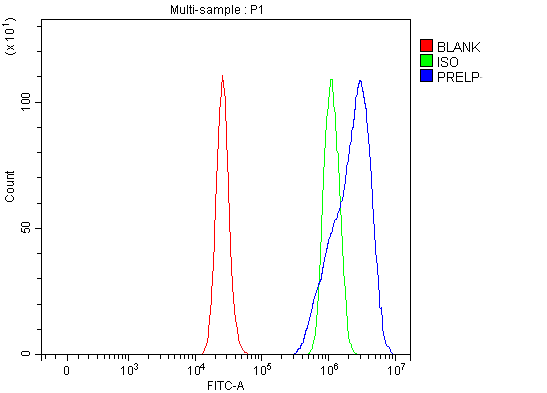  Flow Cytometry analysis of RT4 cells using anti-PRELP antibody (A07640-1)