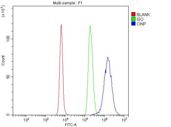 a07687 1 cinp primary antibodies fcm testing 2