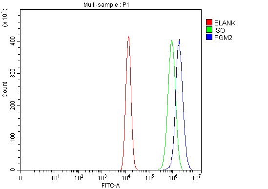  Flow Cytometry analysis of HEL cells using anti-PGM2 antibody (A07690-1)