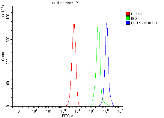 a07698 2 dctn2 primary antibodies fcm testing 1