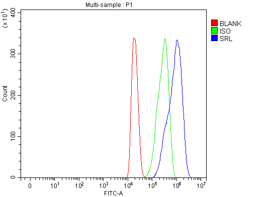  Flow Cytometry analysis of HEPA1-6 cells using anti-Sarcalumenin/Srl antibody (A07699-4)