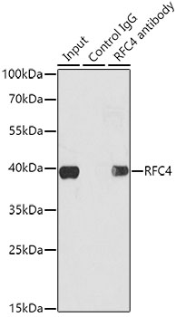 a07702 rfc4 primary antiboties ip testing 4