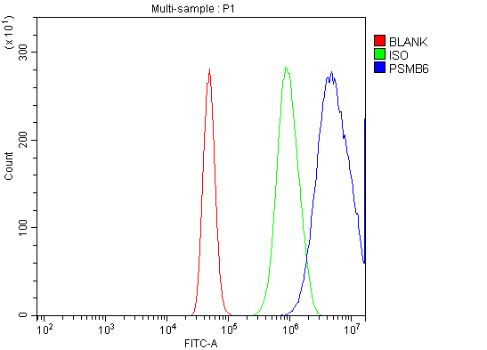 a07705 1 psmb6 primary antibodies fcm testing 2