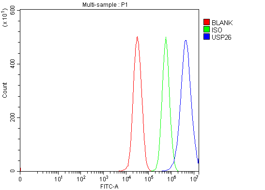 a07732 1 usp26 primary antibodies fcm testing 5