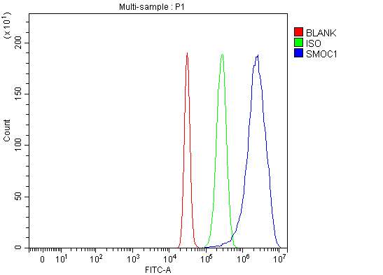  Flow Cytometry analysis of HepG2 cells using anti-SMOC1 antibody (A07736)