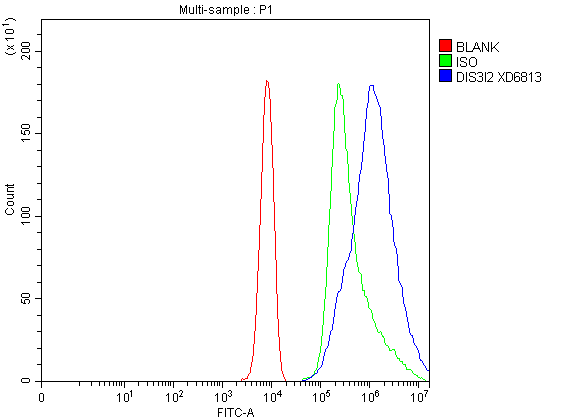 a07738 1 dis3l2 primary antibodies fcm testing 1
