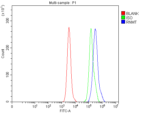  Flow Cytometry analysis of Daudi cells using anti-RNMT antibody (A07752-1)