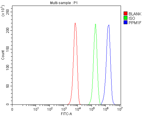 a07776 1 ppm1f primary antibodies fcm testing 1