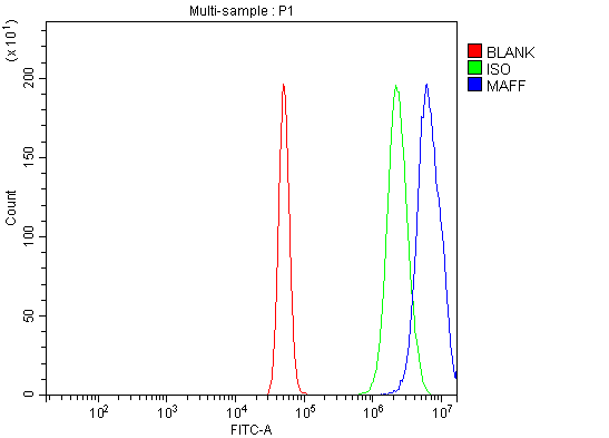 a07784 2 maff primary antibodies fcm testing 6