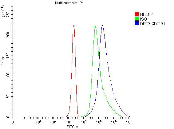 Flow Cytometry analysis of Jurkat cells using anti-DPP3 antibody (A07788-1)