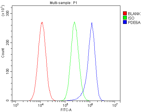 a07800 1 pde6a primary antibodies fcm testing 5