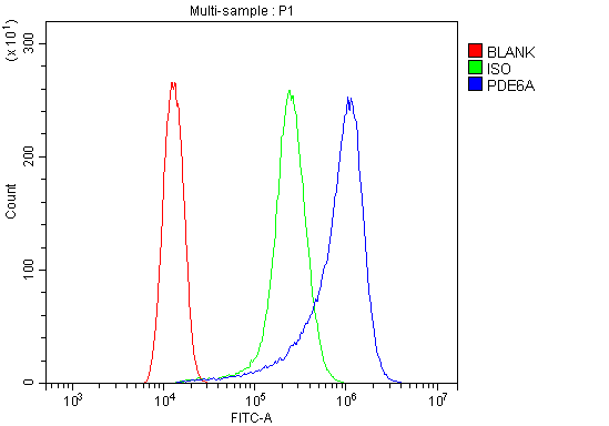 a07800 1 pde6a primary antibodies fcm testing 6