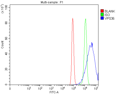 a07809 1 vps36 primary antibodies fcm testing 2