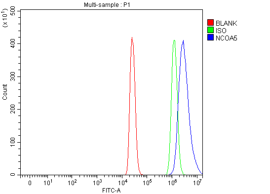 a07810 2 ncoa5 primary antibodies fcm testing 8
