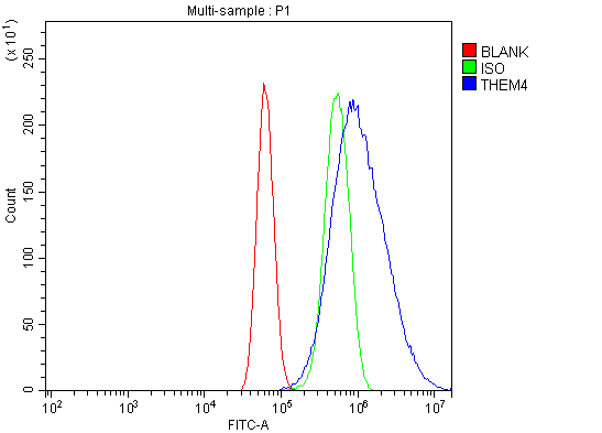  Flow Cytometry analysis of U87 cells using anti-THEM4 antibody (A07814-1)
