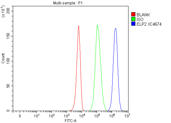  Flow Cytometry analysis of K562 cells using anti-ELP2 antibody (A07823-2)